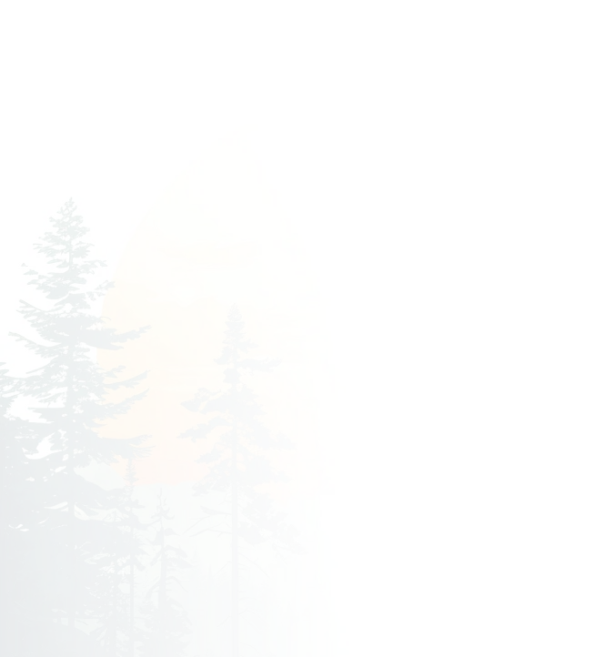 Background Pattern