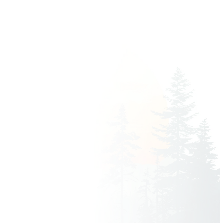 Background Pattern